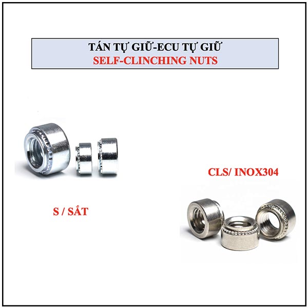 TÁN TỰ GIỮ- ECU TỰ GIỮ (S /CLS..)